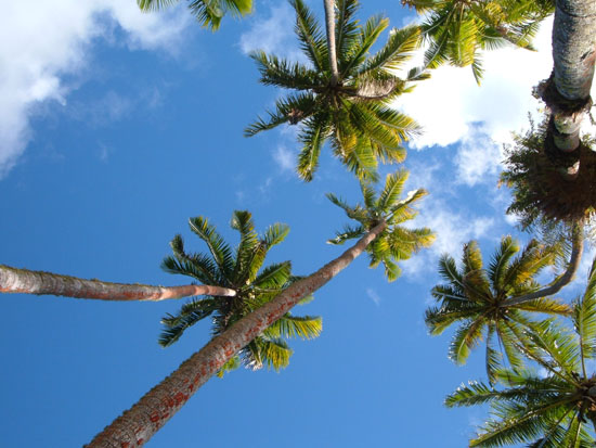 29_south_pacific_sky
