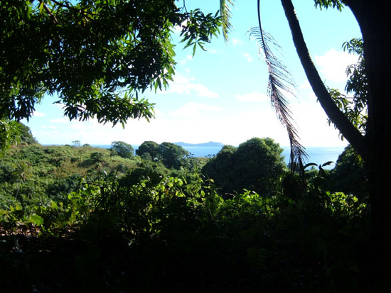 38_fiji_on_hike