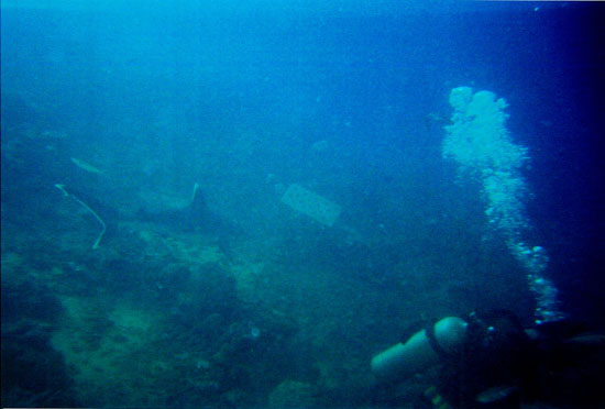 dive02-07