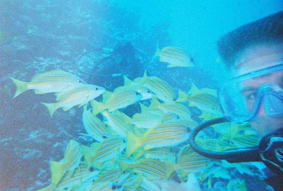 dive05-04
