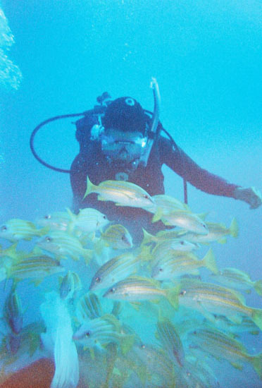 dive05-13