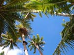 28_view_from_hammock
