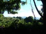 38_fiji_on_hike