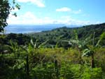 40_fiji_on_hike