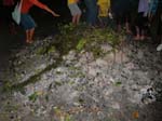70_firewalking_stones