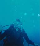 dive03-01