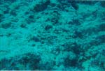 dive04-15