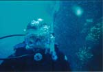 dive04-18