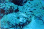 dive05-07