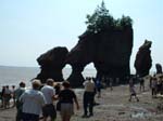 Hopewell Rocks arch