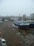 Halls Harbour low tide