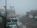 Halls Harbour low tide