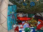 julian_xmas_tree2